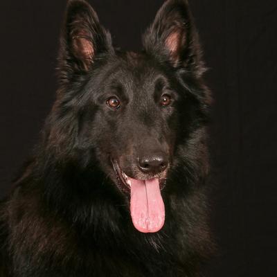 carinemissiaen@mastodon-belgium.be