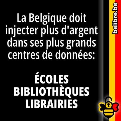 La Belgique doit injecter plus d'argent dans ses plus grands centres de données: écoles, bibliothèques, libraries