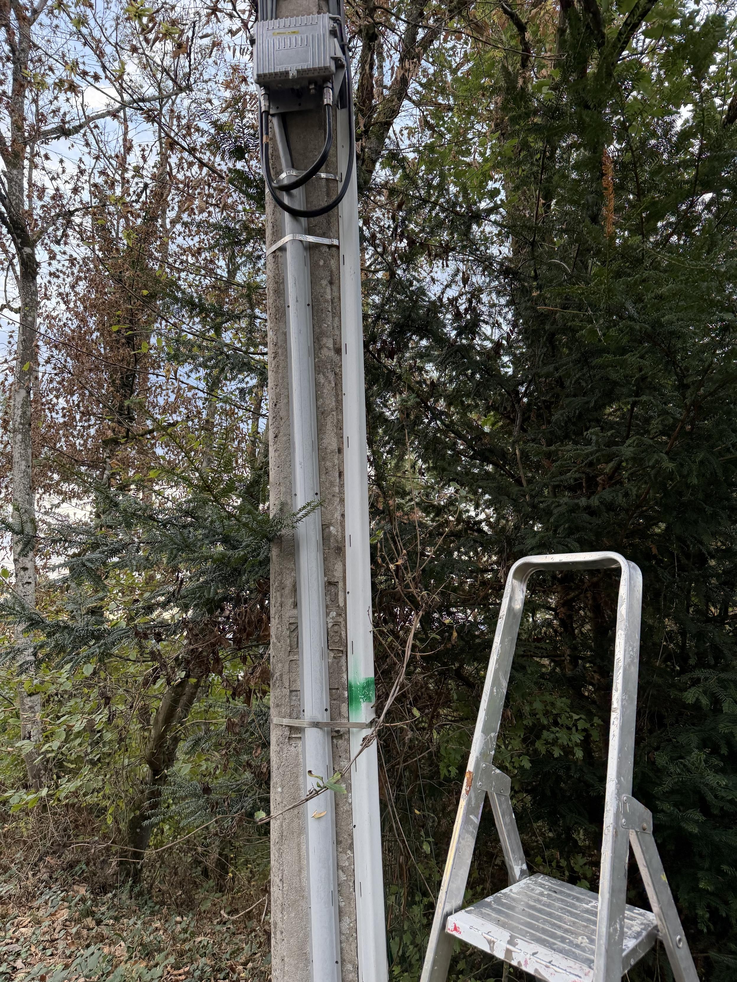 Foto van een laddertje naast een verlichtingspaal met een kastje dat toe is. Op de achtergrond bomen en struiken.